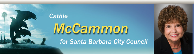 Cathie McCammon, neighborhood activist running for City Council